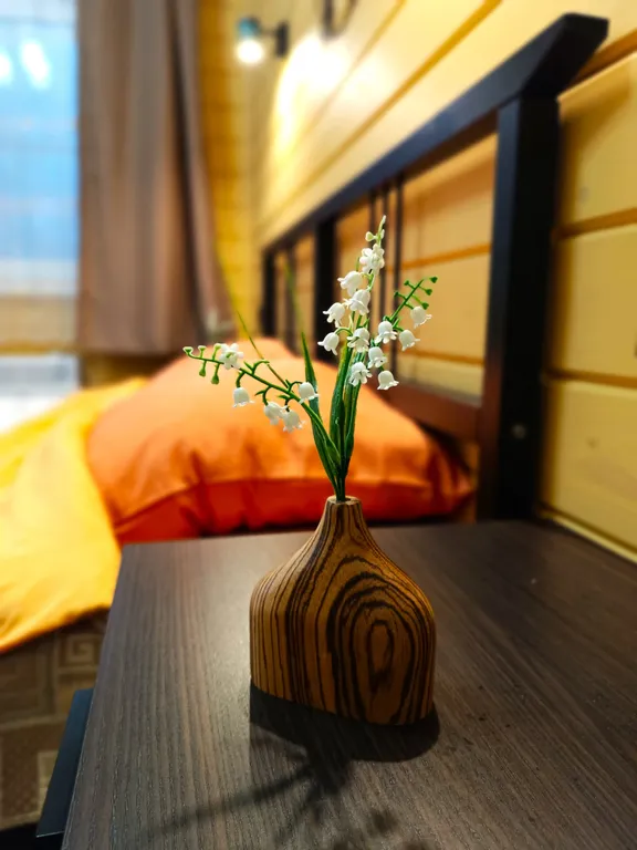 Уютный теплый дом с видом на озеро Passo 3