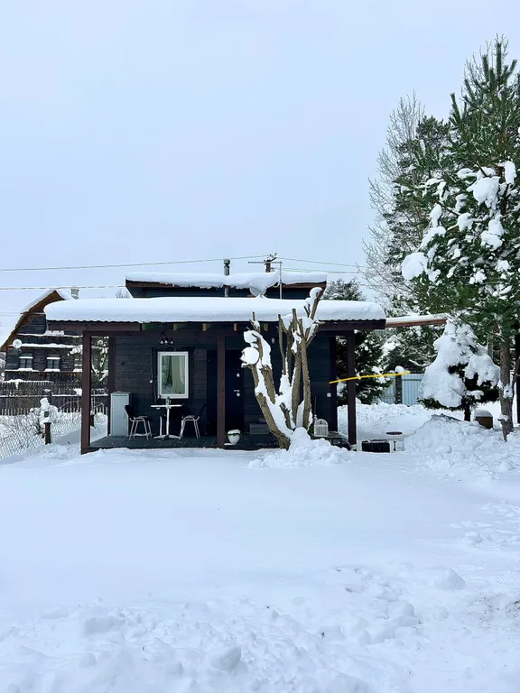 Семейный дом с камином Птичка