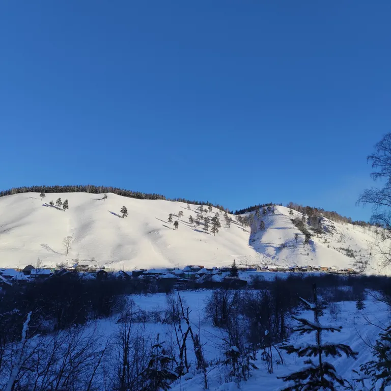 Видовой дом в лесу