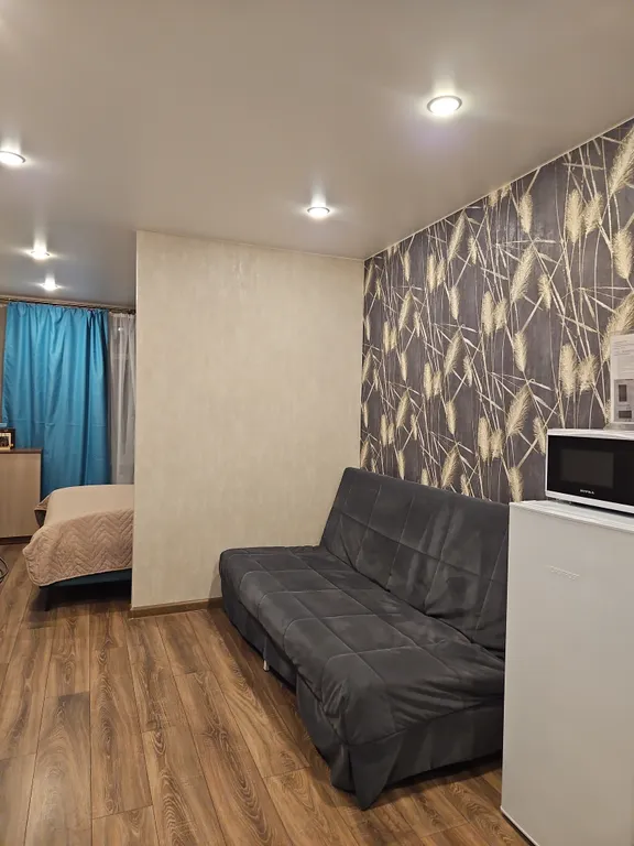 Улучшенная студия вблизи метро Парнас