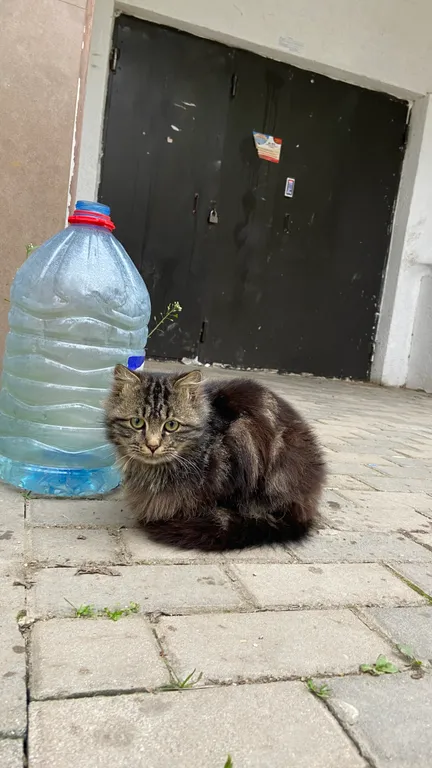 Двушка в центре города