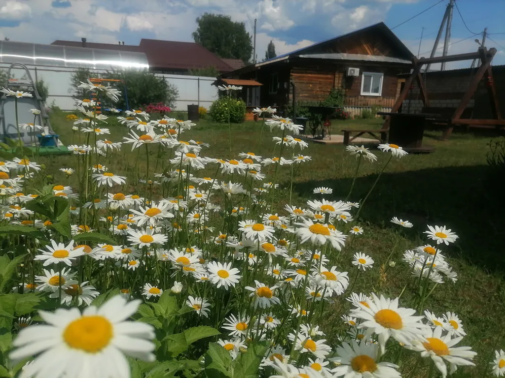 Домик в Бузулукском бору с баней и выходом в лес