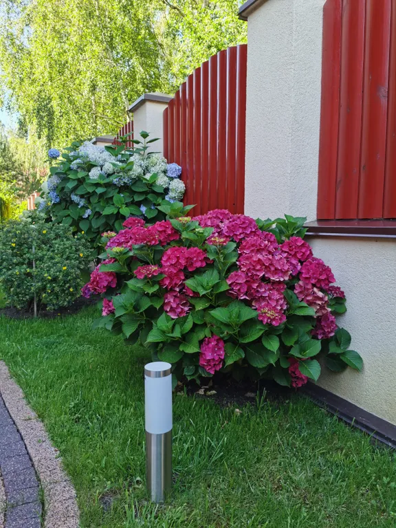 Вилла Форест