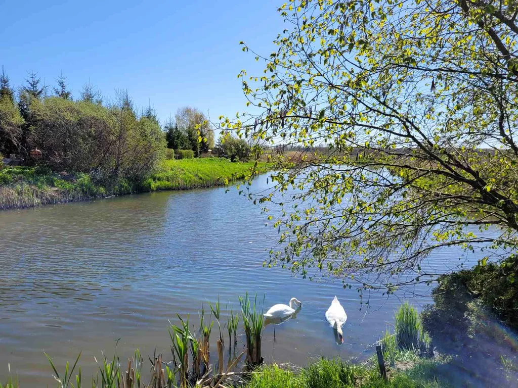 Коттедж Дом на берегу Балтийского моря — Сокольники