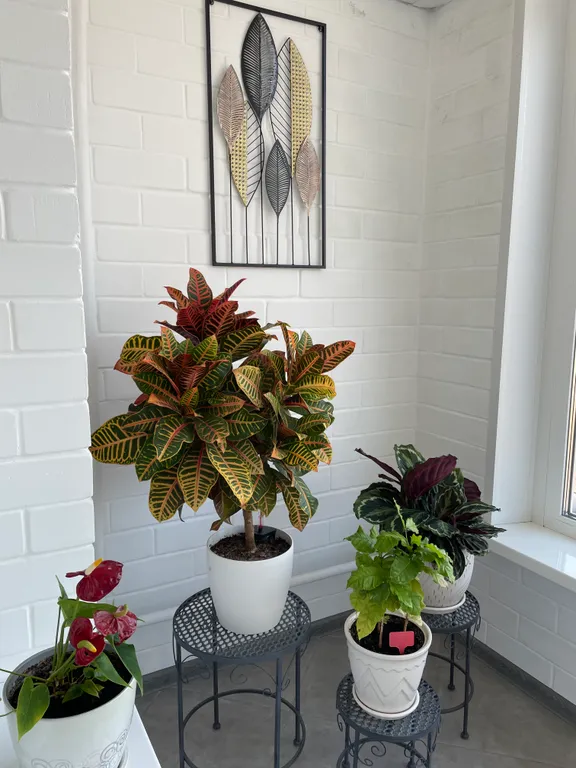 Квартира в центре с видом на Волгу