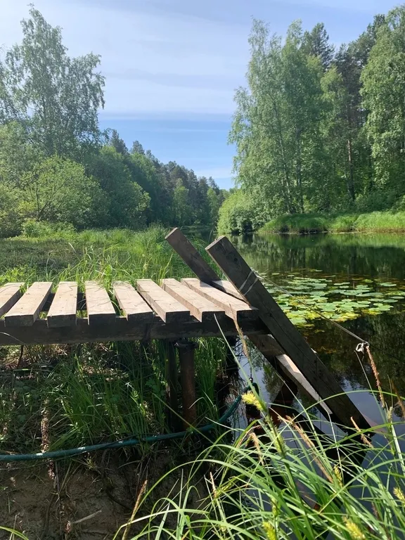 Коттедж на природной локации для большой компании