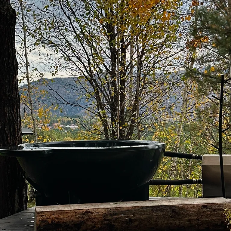 Дом с купелью