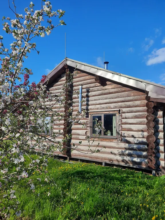 Гостевой дом в яблоневом саду из бревен Карельской сосны