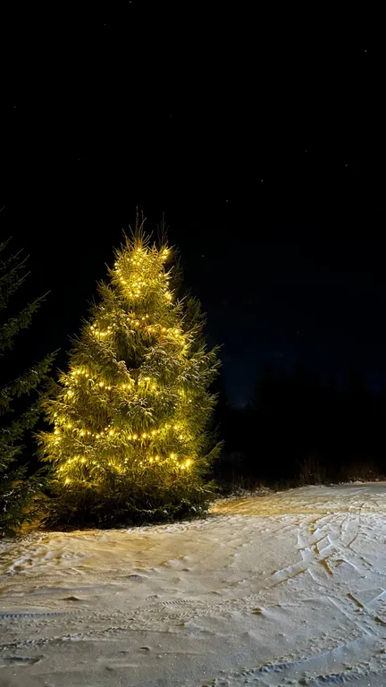 Дом c финской дровяной сауной и отдельной баней в Карелии
