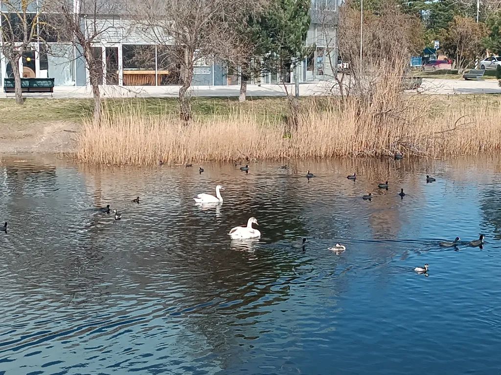 Просторная евро 2-комнатная квартира с интернетом