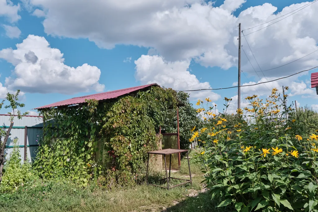 Дом с баней вдали от всех