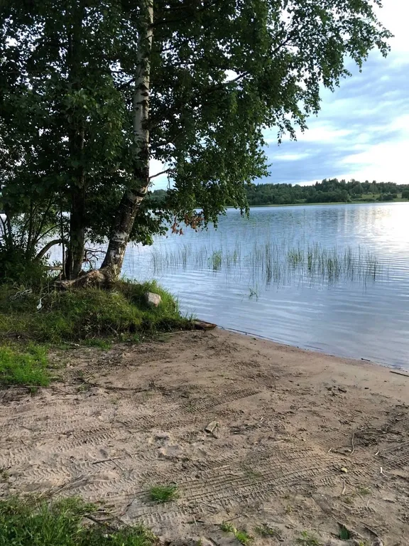 Коттедж Лесной на базе отдыха Заячий хутор на Валдай