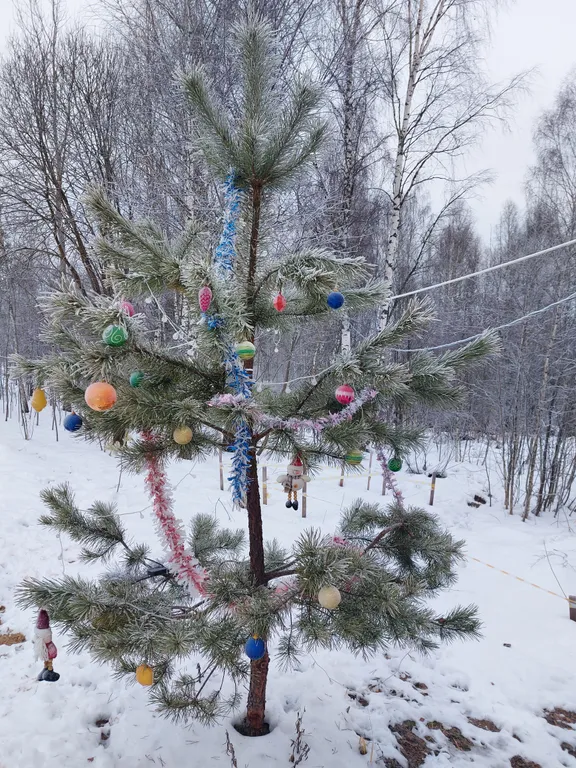 Уютный домик в заповедном лесу