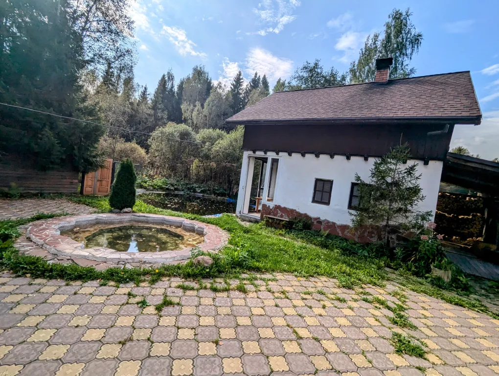 Большой красивый дом с камином в лесу