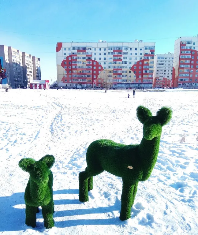 Уютная квартира