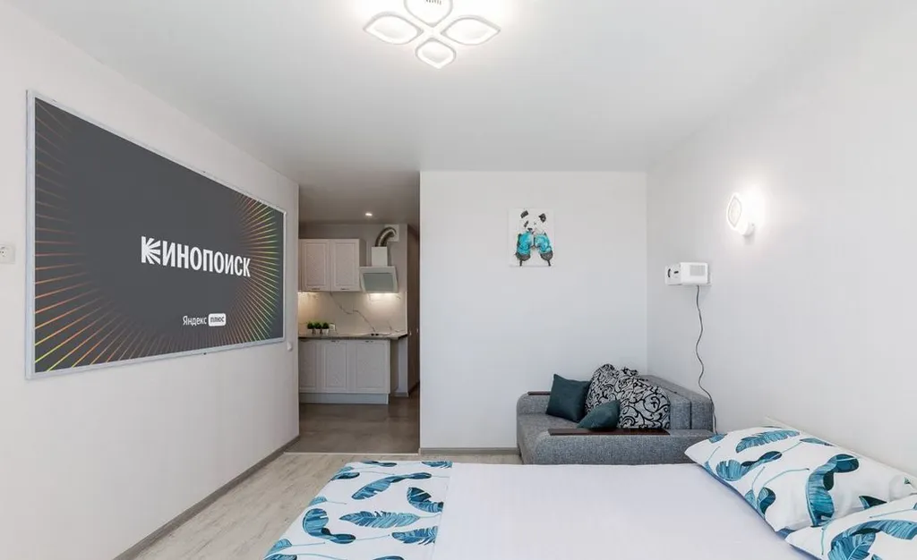 Апартаменты Квартиркаплаза у Самарских терм, проекционный экран