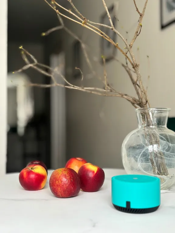 Квартира Полянка