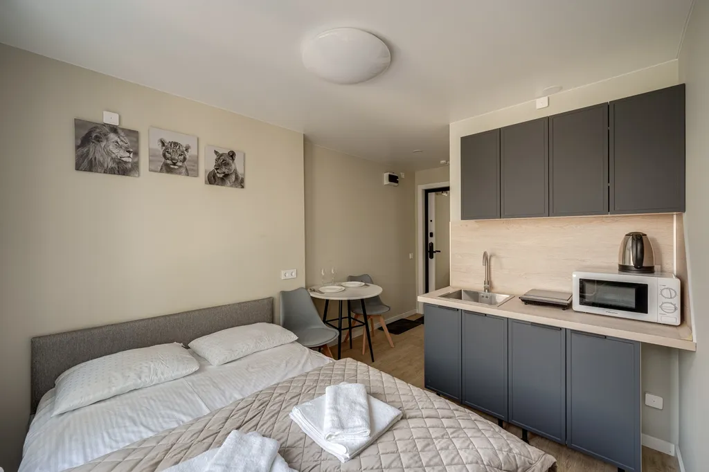 Комфортная студия