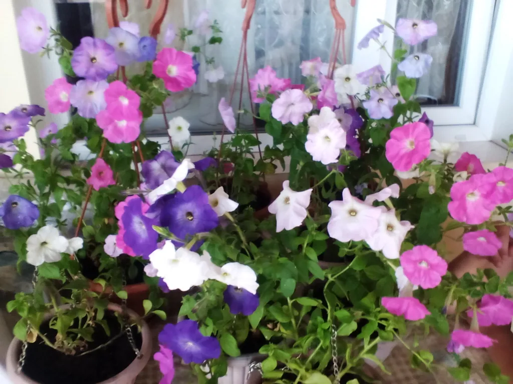 Видовая студия с террасой вид на море и горы