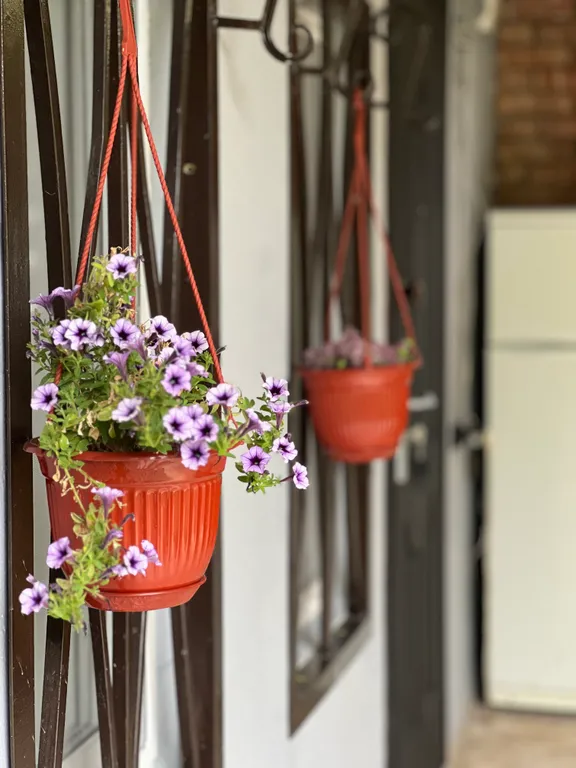 Частный сектор у Феликса