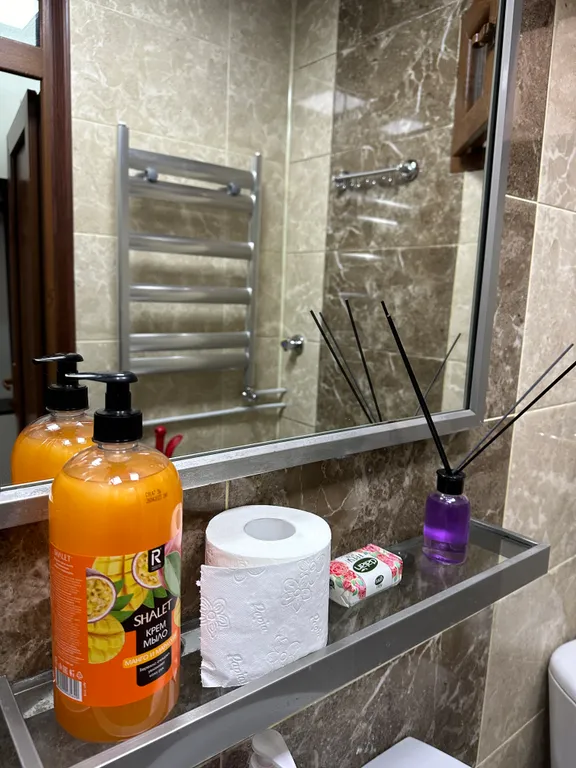 Апартаменты в самом центре Баку