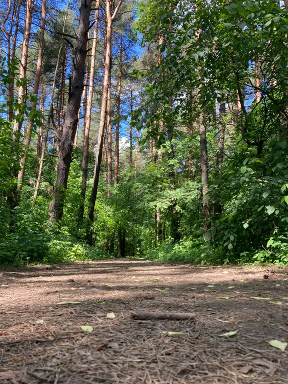 Барнхаус с баней