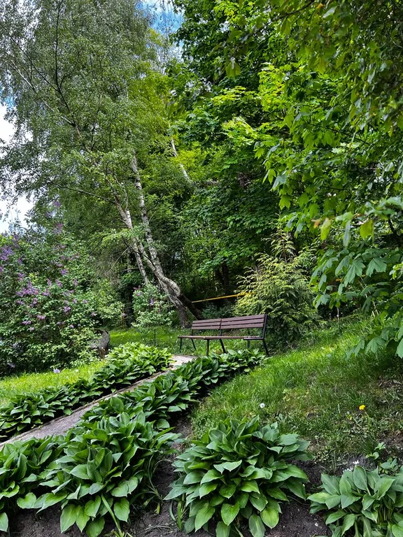 Квартира Квартира Classic — Светлогорск