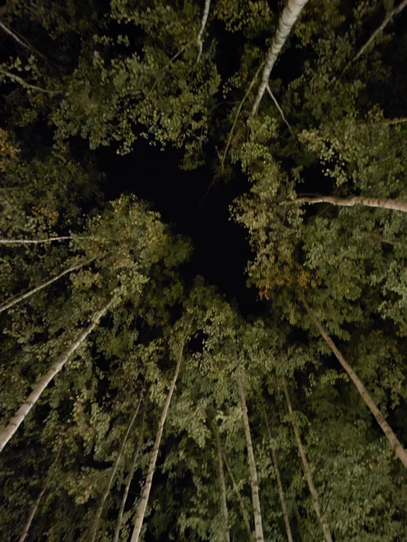 Коттедж Прованс