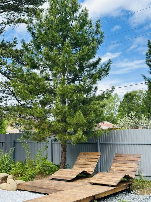 Семейный апартамент / Гостевой дом