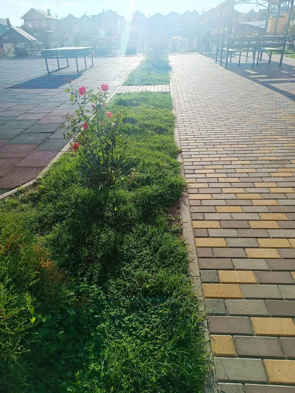Уютная квартира с видом на горы и весенний пруд.