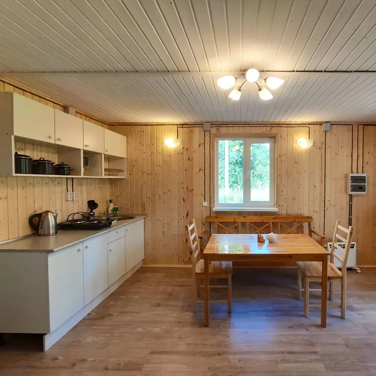 Коттедж Дом с террасой прямо на берегу реки — Торфяное