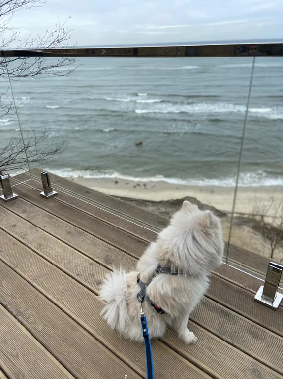 Квартира Квартира Светлогорск рядом с морем — Светлогорск