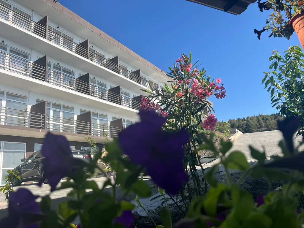 Стандартный номер с видом на море