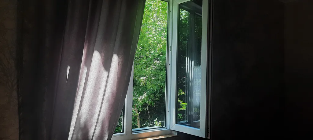 Комната с видом на Дубовую рощу