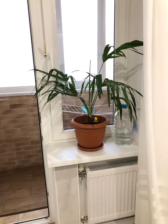 Квартира 1-комнатная Квартира — Краснодар