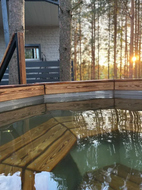 Уютный дом, баня на дровах, банный чан в сосновом бору Петрозаводска