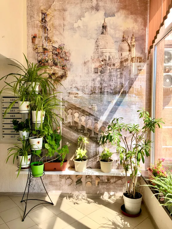 Уютная студия у моря (М)