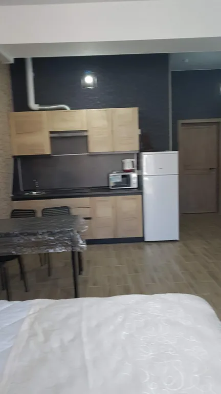 Студия рядом с бюветом