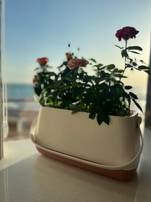 Квартира Квартира Новый апартамент с отдельным выходом на море — Лазаревское