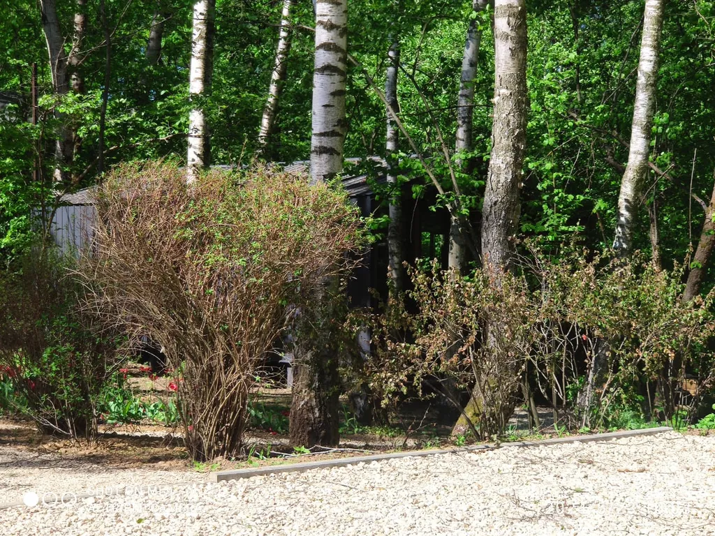 Стильный дом с лесной территорией, недалеко пруд с пляжем