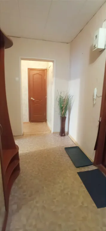 Вместительная квартира  рядом с басееном.