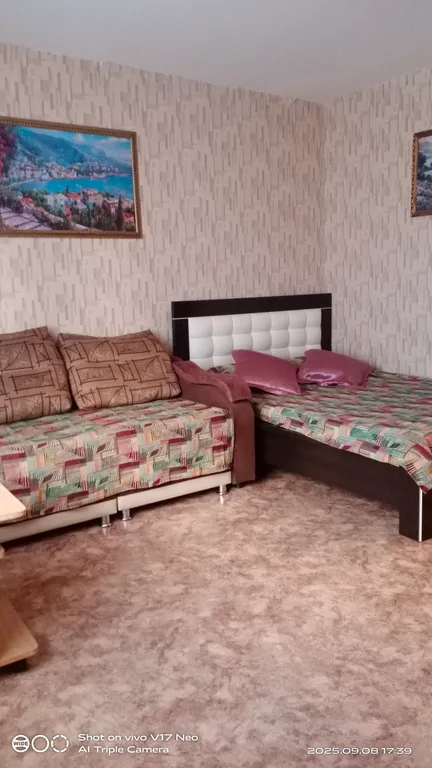 То, что вы ищете