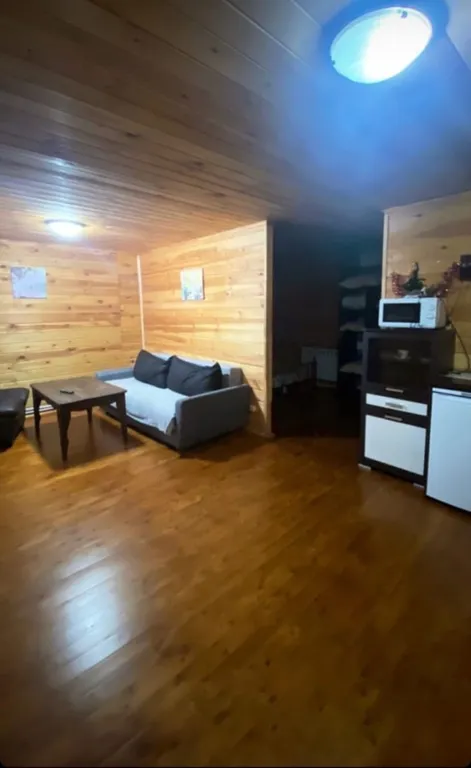 Гостевой дом на берегу реки Базаиха