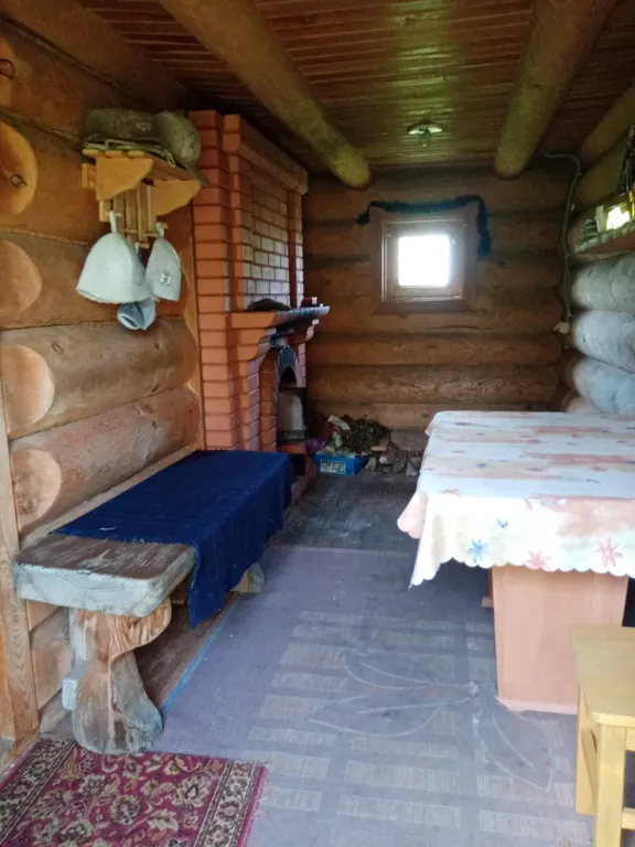 Деревянный домик с соломенной крышей и русская баня