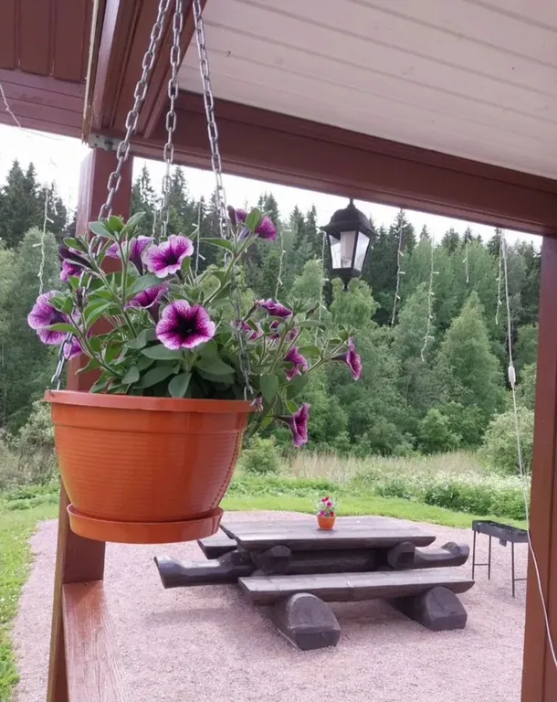 Дом-баня с видом на лес