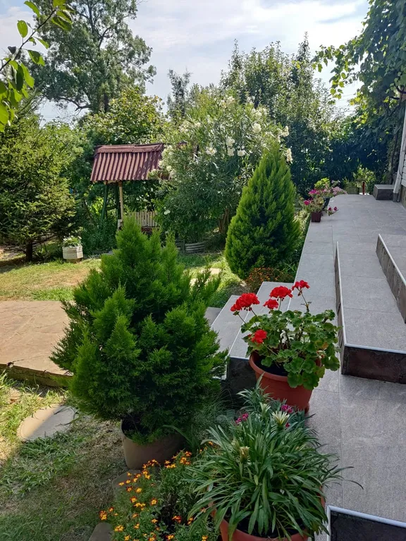 Коттедж 2-комнатный Дом — Сочи