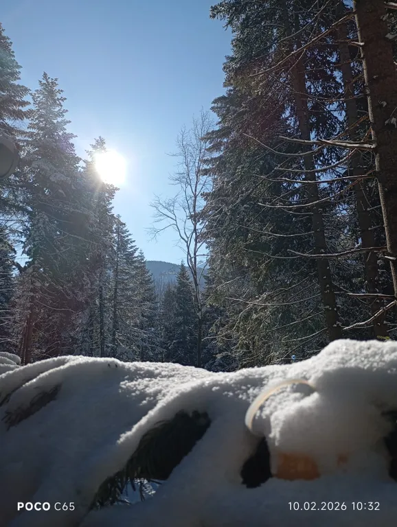 Коттедж Коттедж Logovo resort — Архыз