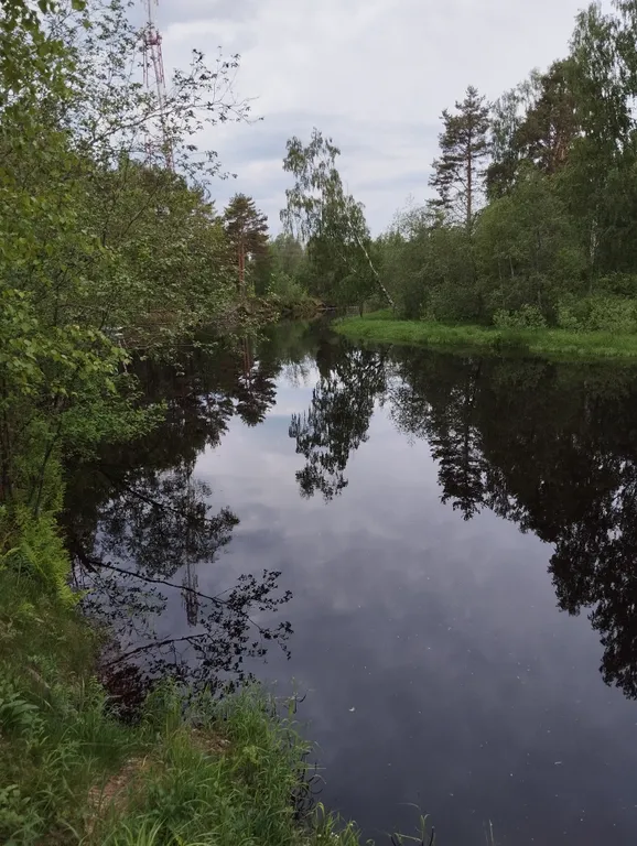 Коттедж Уютный домик на берегу реки — Лодейное Поле