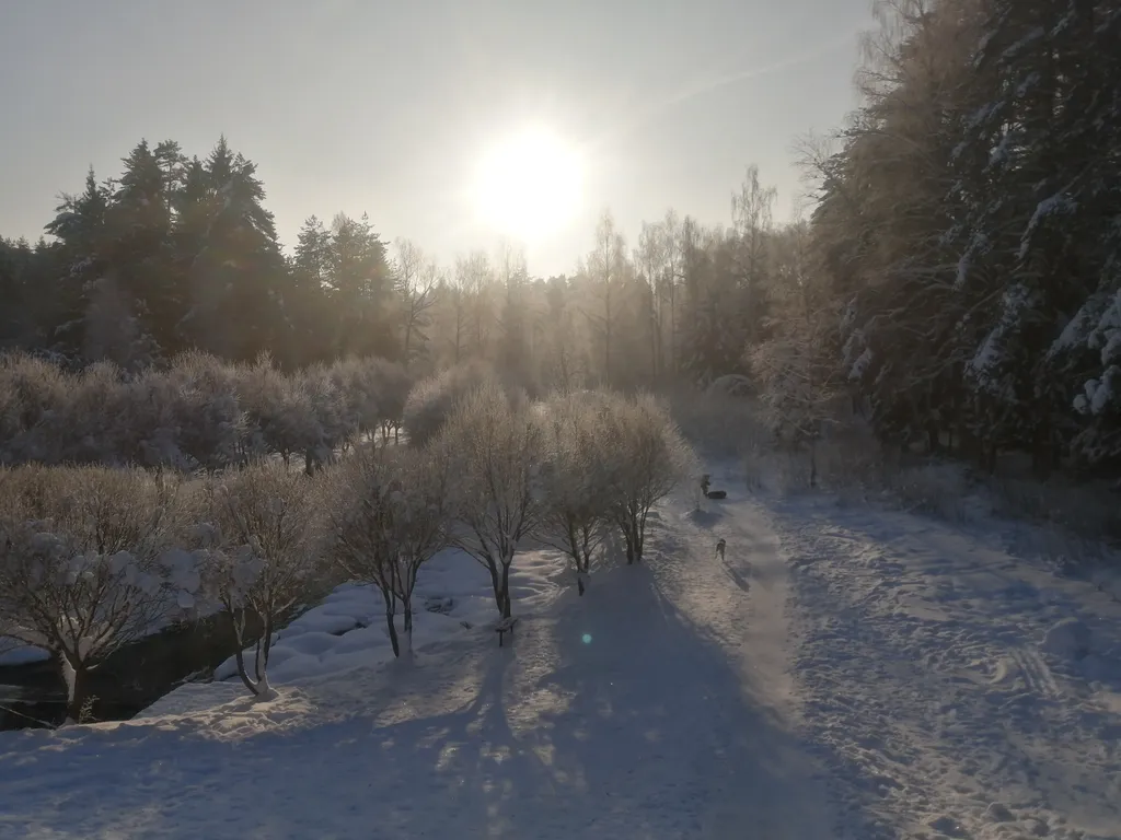 Барнхаус в лесу с розовой гостиной