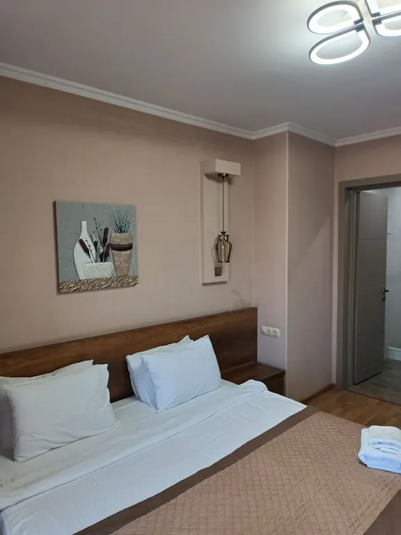 Квартира Комната — аренда посуточно в Тбилиси